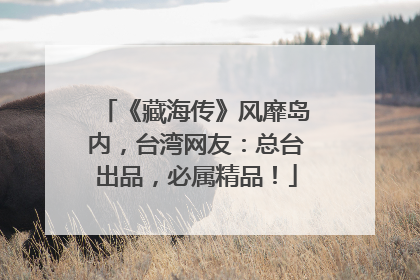《藏海传》风靡岛内，台湾网友：总台出品，必属精品！