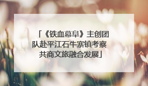 《铁血幕阜》主创团队赴平江石牛寨镇考察 共商文旅融合发展