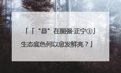 「“县”在图强·正宁③」生态底色何以愈发鲜亮？