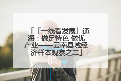 「一线看发展」通海：做足特色 做优产业——云南县域经济样本观察之二