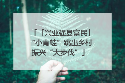 「兴业强县富民」“小青蛙”跳出乡村振兴“大步伐”