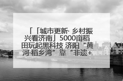 「城市更新· 乡村振兴看济南」5000亩稻田玩起黑科技 济阳“黄河·稻乡湾”靠“非遗+露营”火出圈