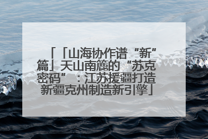 「山海协作谱“新”篇」天山南簏的“苏克密码”：江苏援疆打造新疆克州制造新引擎