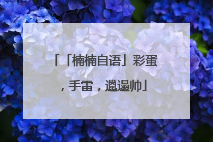 「楠楠自语」彩蛋，手雷，邋遢帅