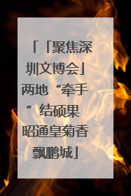 「聚焦深圳文博会」两地“牵手”结硕果 昭通皇菊香飘鹏城