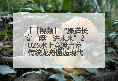 「视频」“绿道长安‘艇’进未来”2025水上竞渡启幕 传统龙舟邂逅现代赛艇演绎文旅新篇