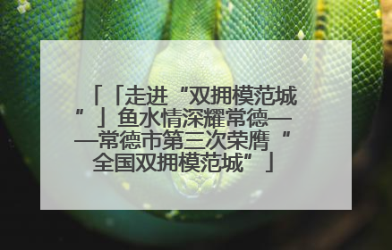 「走进“双拥模范城”」鱼水情深耀常德——常德市第三次荣膺“全国双拥模范城”