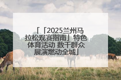 「2025兰州马拉松观赛指南」特色体育活动 数千群众展演燃动全城