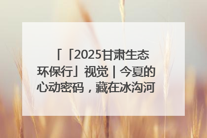 「2025甘肃生态环保行」视觉｜今夏的心动密码，藏在冰沟河的潋滟波光里
