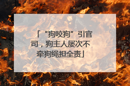 “狗咬狗”引官司，狗主人屡次不牵狗绳担全责