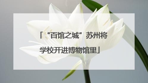 “百馆之城”苏州将学校开进博物馆里