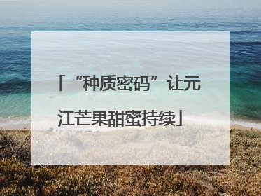 “种质密码”让元江芒果甜蜜持续