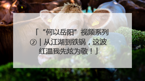 “何以岳阳”视频系列②｜从江湖到铁锅，这波红温我先炫为敬！
