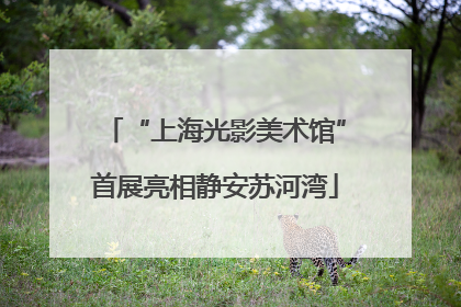 “上海光影美术馆”首展亮相静安苏河湾