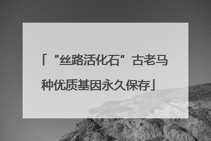 “丝路活化石”古老马种优质基因永久保存