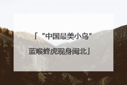“中国最美小鸟”蓝喉蜂虎现身闽北
