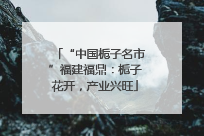 “中国栀子名市”福建福鼎：栀子花开，产业兴旺