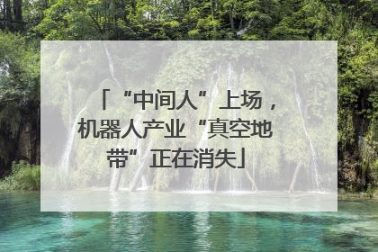 “中间人”上场，机器人产业“真空地带”正在消失