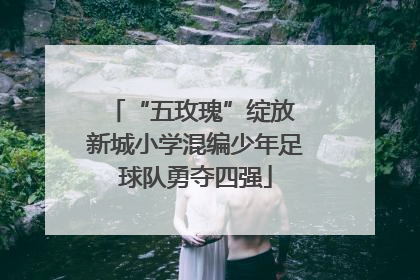 “五玫瑰”绽放 新城小学混编少年足球队勇夺四强