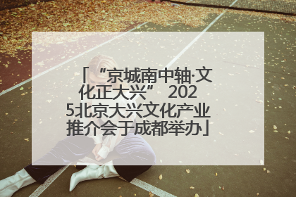 “京城南中轴·文化正大兴” 2025北京大兴文化产业推介会于成都举办