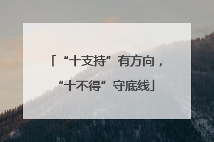 “十支持”有方向，“十不得”守底线