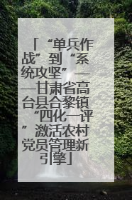 “单兵作战”到“系统攻坚”——甘肃省高台县合黎镇“四化一评”激活农村党员管理新引擎