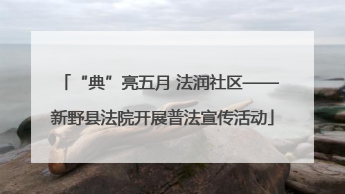 “典”亮五月 法润社区——新野县法院开展普法宣传活动