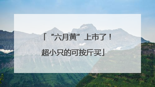 “六月黄”上市了！超小只的可按斤买