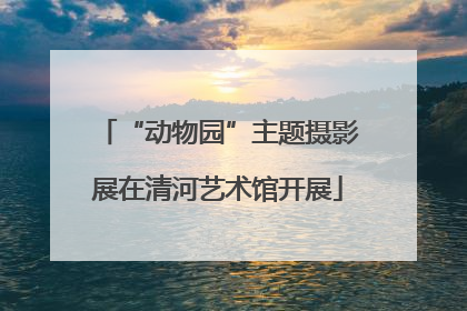 “动物园”主题摄影展在清河艺术馆开展