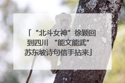 “北斗女神”徐颖回到四川 “能文能武”苏东坡诗句信手拈来