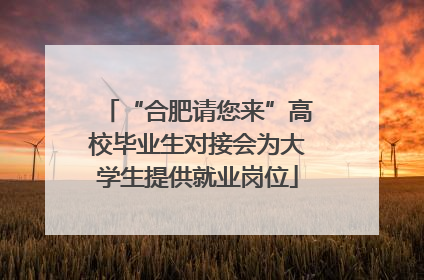 “合肥请您来”高校毕业生对接会为大学生提供就业岗位