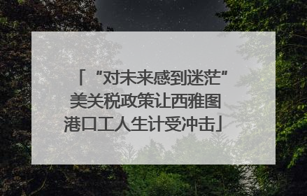“对未来感到迷茫” 美关税政策让西雅图港口工人生计受冲击