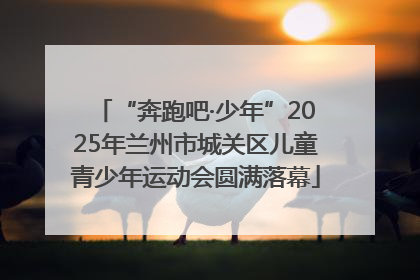 “奔跑吧·少年”2025年兰州市城关区儿童青少年运动会圆满落幕