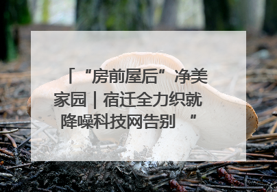 “房前屋后”净美家园｜宿迁全力织就降噪科技网告别 “声” 烦恼