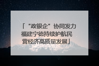 “政银企”协同发力 福建宁德持续护航民营经济高质量发展