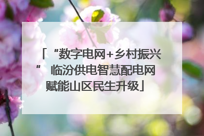 “数字电网+乡村振兴” 临汾供电智慧配电网赋能山区民生升级