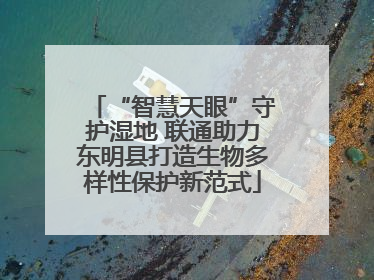 “智慧天眼”守护湿地 联通助力东明县打造生物多样性保护新范式