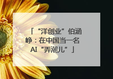 “洋创业”伯涵峥：在中国当一名AI“弄潮儿”