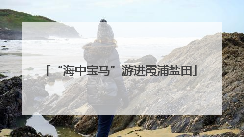 “海中宝马”游进霞浦盐田
