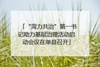 “菏力共治”第一书记助力基层治理活动启动会议在单县召开