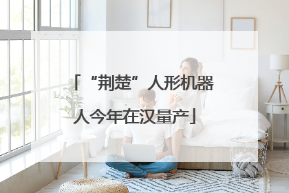 “荆楚”人形机器人今年在汉量产