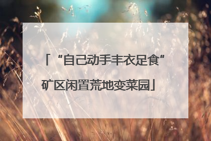 “自己动手丰衣足食”矿区闲置荒地变菜园