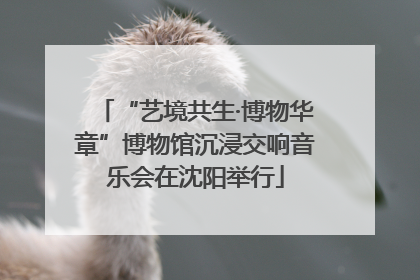 “艺境共生·博物华章”博物馆沉浸交响音乐会在沈阳举行