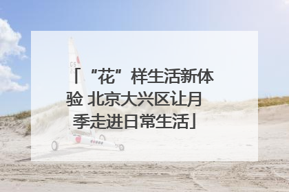 “花”样生活新体验 北京大兴区让月季走进日常生活