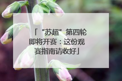 “苏超”第四轮即将开赛：这份观赛指南请收好