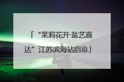 “茉莉花开·盐艺直达”江苏滨海站启幕