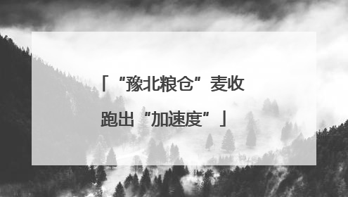 “豫北粮仓”麦收跑出“加速度”