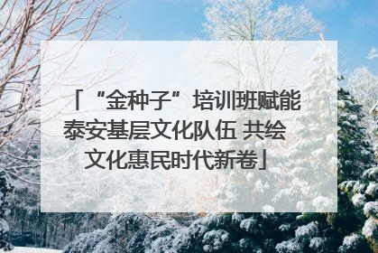 “金种子”培训班赋能泰安基层文化队伍 共绘文化惠民时代新卷