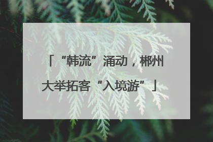 “韩流”涌动，郴州大举拓客“入境游”