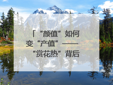 “颜值”如何变“产值”——“赏花热”背后的产业图谱